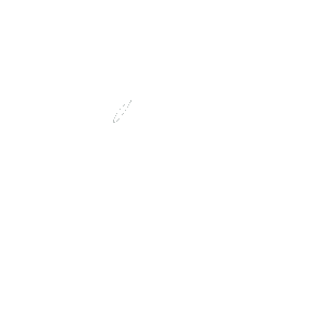 The Cherry Moon fashion boutiqe logo